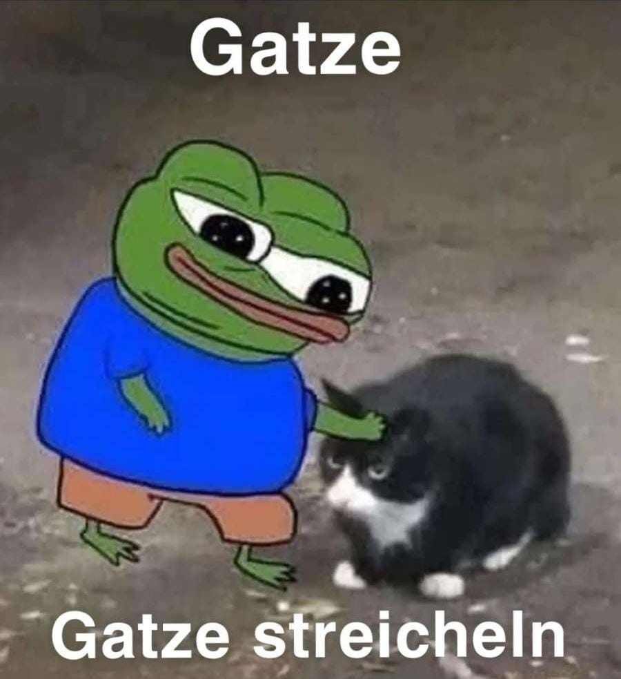 Gatze streicheln